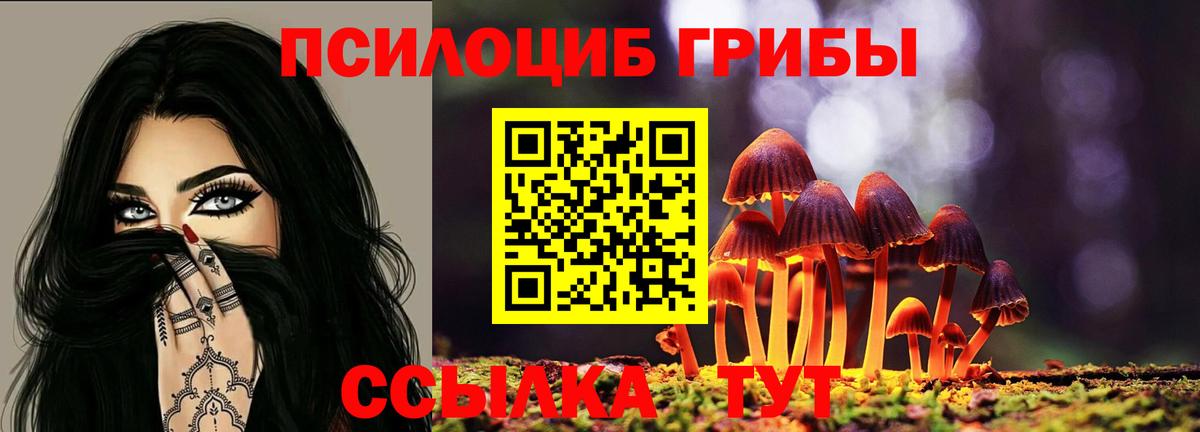 хочу   Псилоцибиновые грибы мицелий  Бугульма  Вход с VPN  Псилоцибиновые грибы Cubensis 
