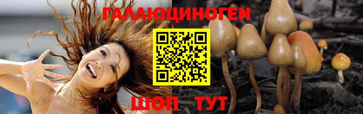 Галлюциногенные грибы ЛСД Бугульма